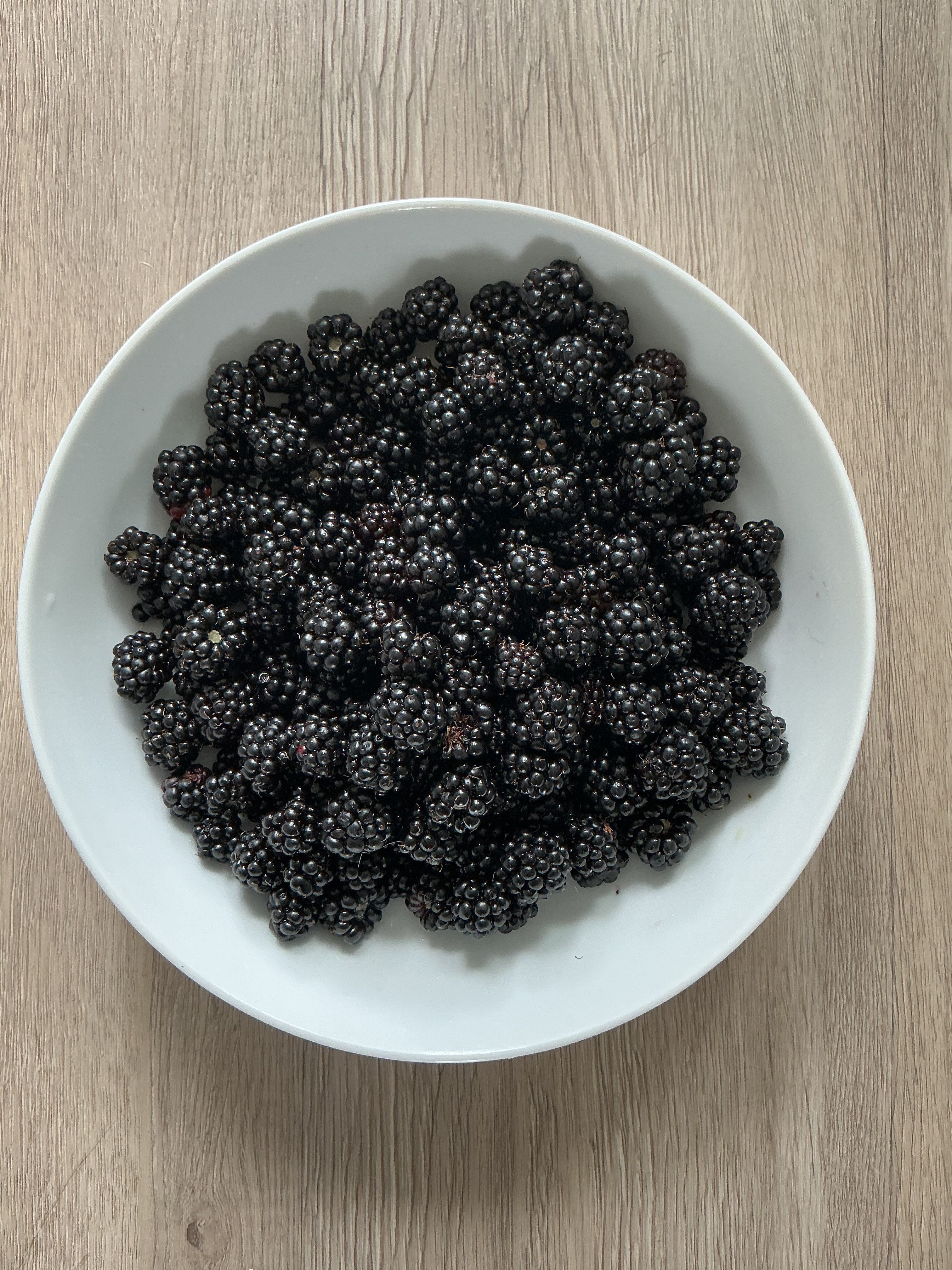 Fresh-picked blackberries ready to be made into jam